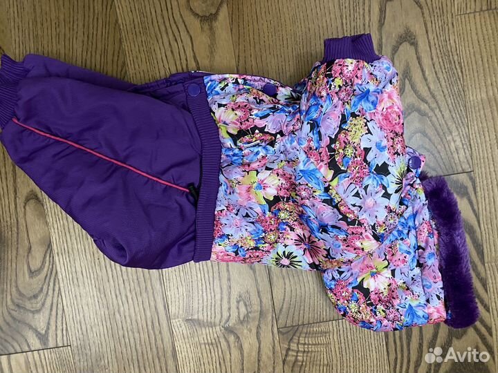 Одежда для собаки Китайская хохлатая