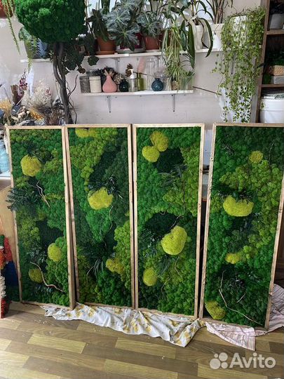 Сет из панно со стабилизированным мхом и растениям