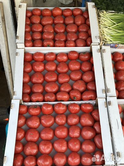 Азербайджанские помидоры