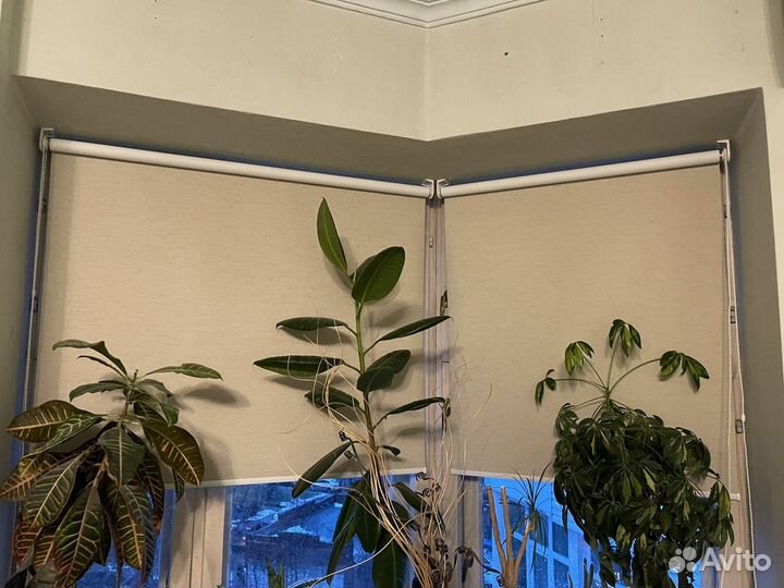 Рулонные шторы жалюзи