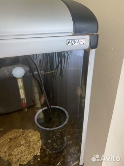 Аквариум aquael 250л