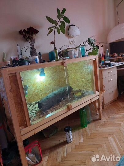 Террариум для рептилий (сцинка)