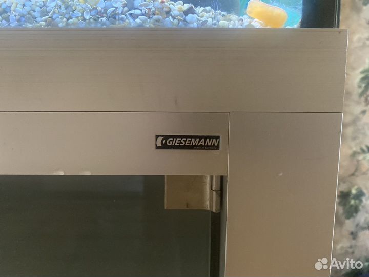 Аквариум Giesemann