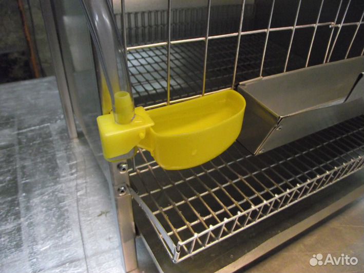 Клетка для перепелов