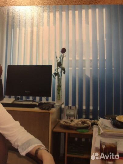 Жалюзи вертикальные на окна