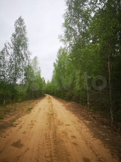 Участок 1,03 га (СНТ, ДНП)