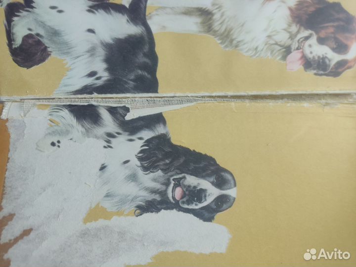 Книга Собака Джоана Палмер