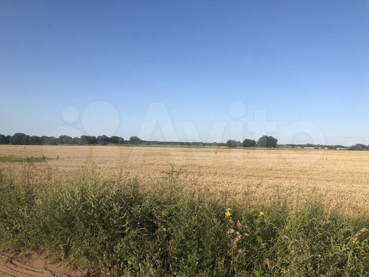 Участок 6,4 га (ИЖС)