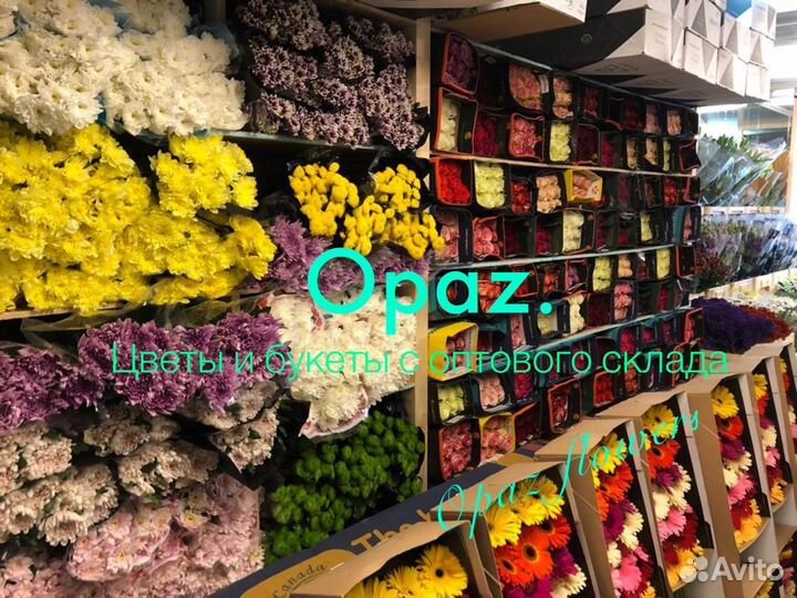 Розы оптом от 50шт