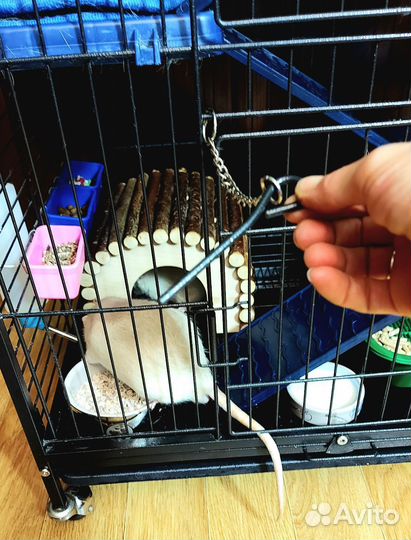 Клетка для грызунов, шиншил