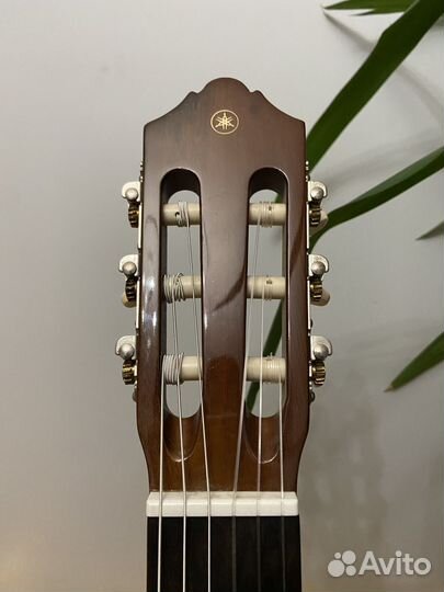 Классическая гитара Yamaha C-40