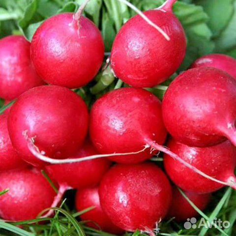 Семена редиса Черриэт