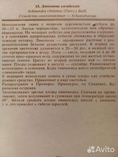Полезные травки