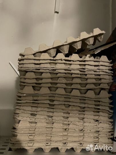 Ячейки для яиц