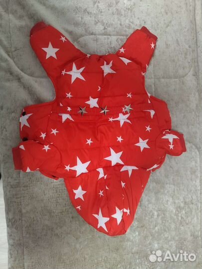 Одежда для маленьких пород собак