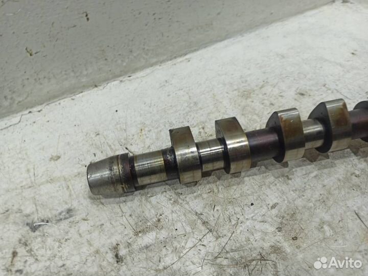 Распредвал выпускной Ауди