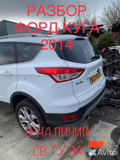 Разбор Ford kuqa -2 поклоление 2014