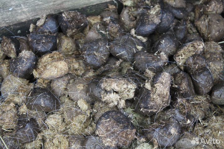 Навоз конский