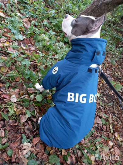 Зимний комбинезон для собак