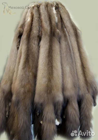 Шкурки куницы