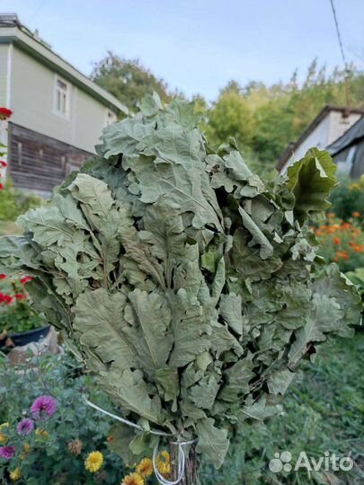 Веники дубовые, березовые