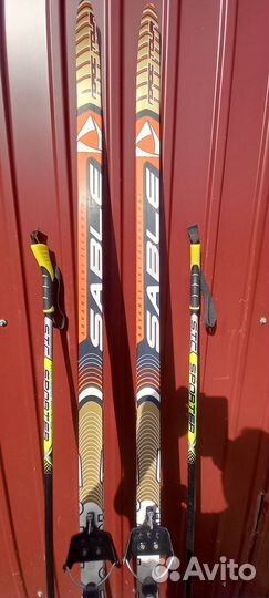 Беговые лыжи