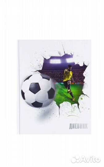 Дневники школьные