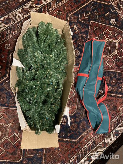 Ёлка Питерская зеленая