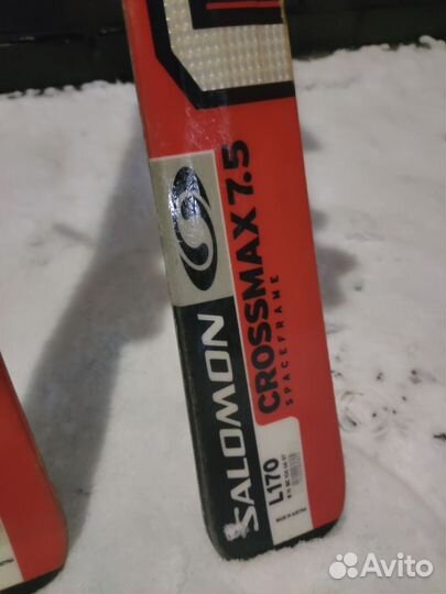 Горные лыжи