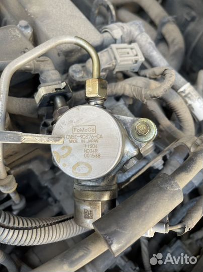 Насос тнвд ford focus 3