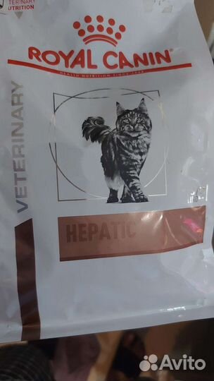 Royal canin hepatic