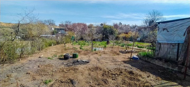 Участок 8 сот. (СНТ, ДНП)