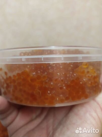 Икра горбуши этого года Владивосток