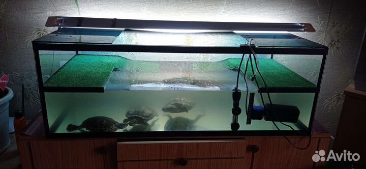 Террариум для черепахи