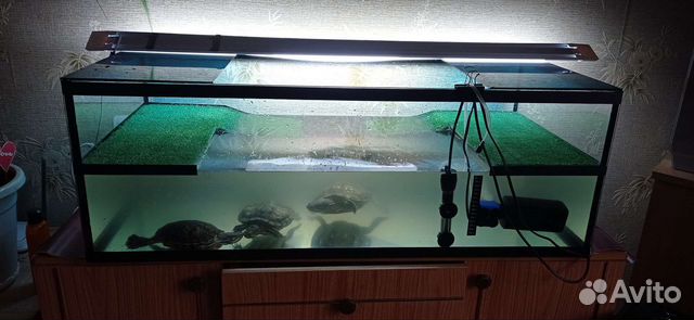 Террариум для черепахи