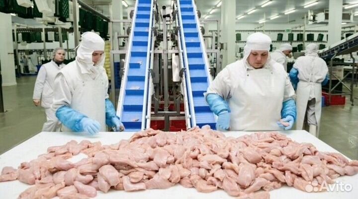 Рабочие-вахтовики на производство