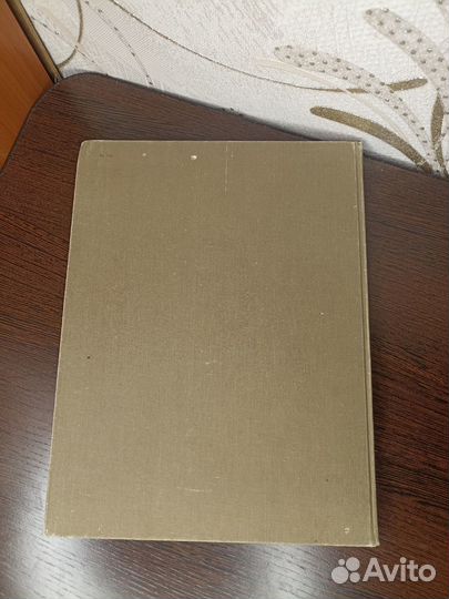 М.Ц. Рабинович. Пластическая анатомия