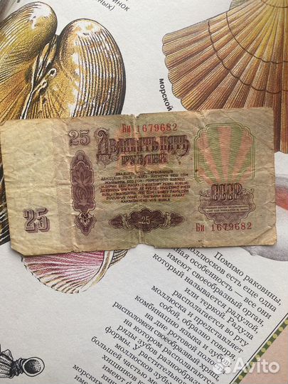 Купюры 25 рублей 1961