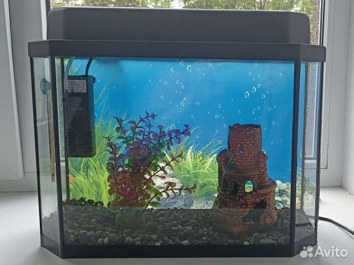Аквариум
