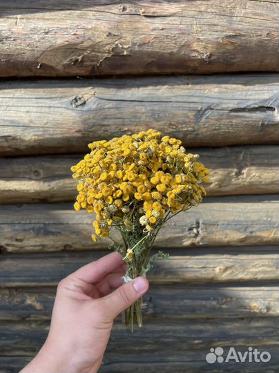 Пучки трав для бани. Донник, ромашка, душица