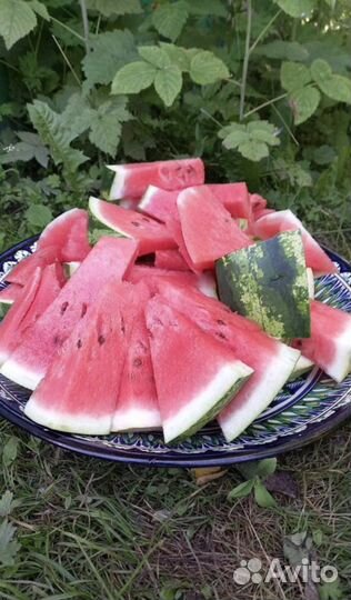 Узбeкcкая пocyдa