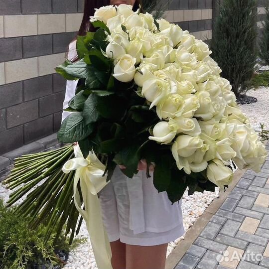 Розы Гиганты