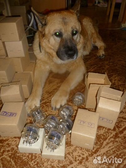 Радиолампы из СССР, панельки рш-27.для ин-2 ин-8