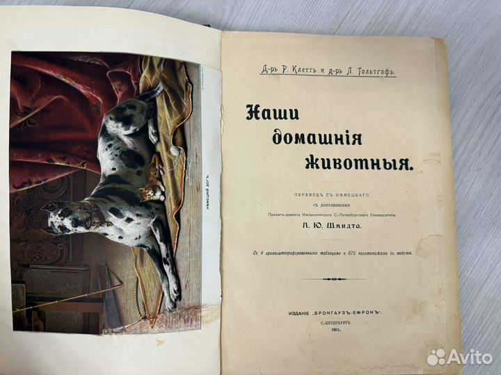 Клетт Р.Гольтгоф Л. Наши домашние животные. 1911