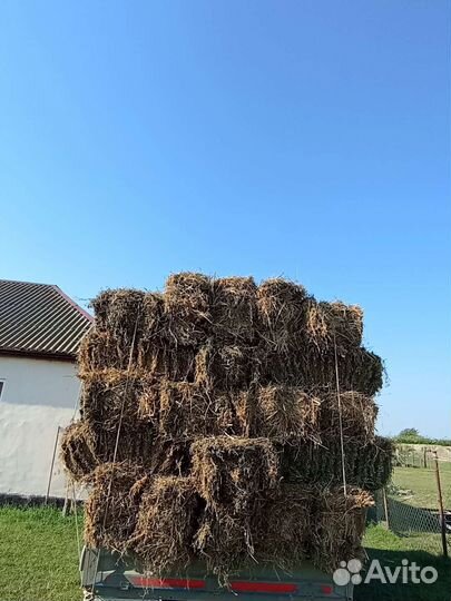 Сено люцерны в тюках