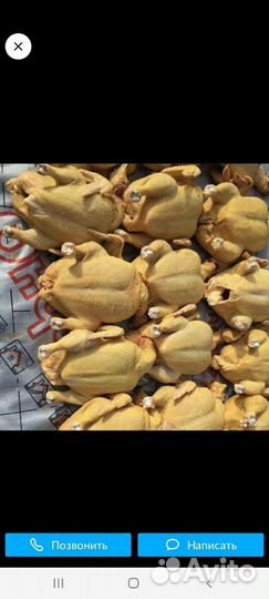 Куры бройлеры мясо