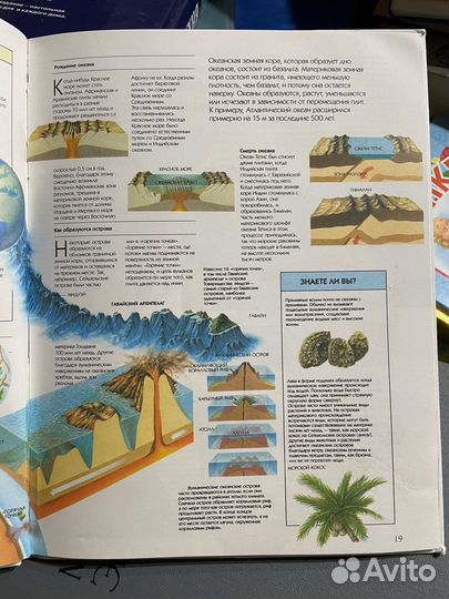 Жизнь океана. Уэллс Сьюзен. Росмэн