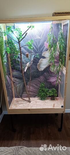 Клетка, террариум, вольер для птиц