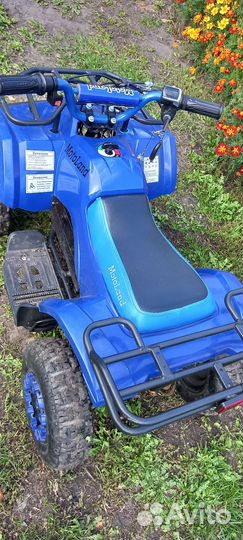 Электро квадрацикл