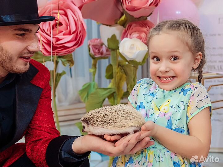 Фокусник и 5 зверюшек Программа Magic Story